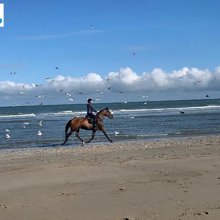 Mezzanine La Vie En Bleu- Vue *