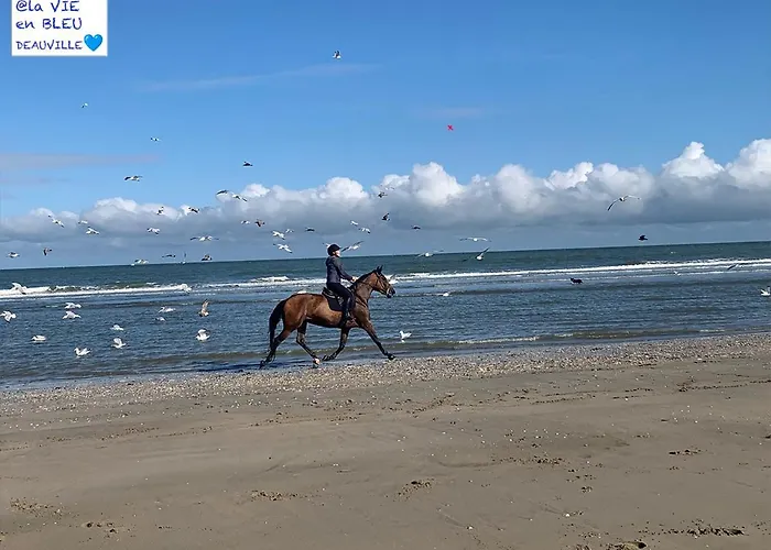 Mezzanine La Vie En Bleu- Vue *